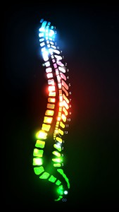 Colorful Spine